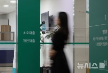 금감원, 사업자 편법대출 현장점검반 꾸린다