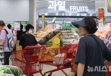 8월 생산자물가 0.1% 하락…SKT 요금인하 없었다면 0.2%↑