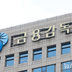 '직무 일부정지' 확정시 MBK 입을 타격은…'홈플' 수습 여부 변수될까