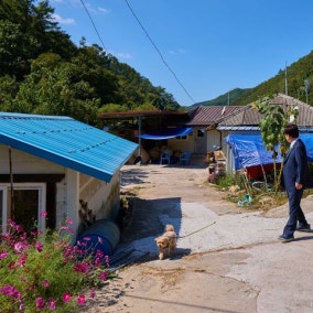 李 대통령 "어제 고향 선산 다녀와"…옛집·모교 사진 공개도