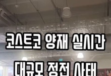 기습 폭우에 코스트코 양재점 시스템 마비…냉동창고·계산대 멈춰