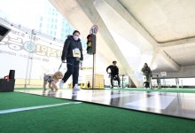 안 하면 60만원 과태료… 9월까지 반려견 자진신고