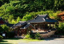 [속보] 산림 당국 “천년 고찰 고운사, 화마에 전소”