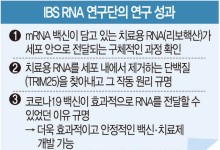 국내 연구진 세계 최초 mRNA 백신 작동 원리 규명