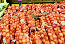 ‘오이 35%↓, 양파 15%↓’ 4월 생산자물가, 6개월 만에 ‘하락’