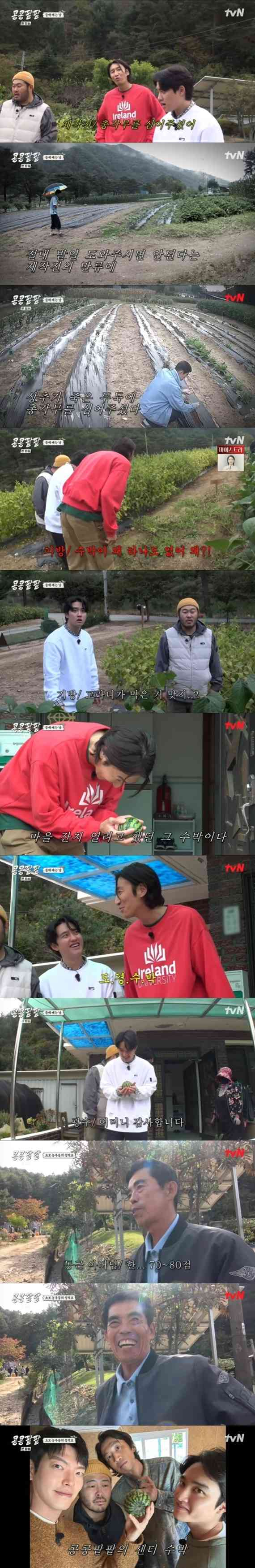 '<b>콩콩팥팥</b>' 이광수, 주먹만한 수박에 폭소…"도경수박이네"
