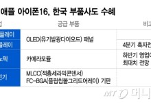 "아이폰 바꿀 때 됐다"…첫 AI폰 출시에 삼성·LG 부품사도 관심