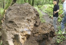 한라산에서 '4톤 자연석' 잘라가려던 일당 검찰행