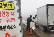 충남 당진·전북 부안서 고병원성 AI 확진…정부, 전국 특별점검 실시