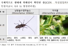 환경부 '유입주의 생물 150종 자료집' 발간…외래종 관리 강화