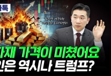 트럼프 관세에 중국 부양 효과까지…쌍끌이 상승세 탄 원자재는?[부꾸미]
