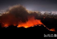"끝난 줄 알았는데" 함지산 산불 재발화…7부 능선에 30m 불띠