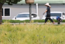 "외출하기 좋아요"…낮 최고 29도, 미세먼지 깨끗[오늘 날씨]