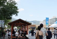 처서에도 무더위 계속…낮 최고 36도 '후텁지근'[내일 날씨]