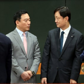 "드러누워 막았어야" 개미 2조 털린 레버리지ETF, 금감원 국감서 재점화
