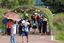 “이제 진짜 가을옷 꺼내 입어야겠다”…내일 출근길도 선선한 날씨