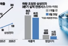 “이 바닥엔 벌써 겨울 온다고?”…연일 K반도체 때리는 외국계 큰손들, 주가 어쩌나