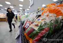 9월 물가 1.6%, 3년7개월만에 최저...金채소는 여전