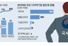 세금회피 꼼짝마 … 국세청, 빅테크 정조준