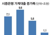 가계대출 조이기 효과 5대銀 증가폭 확 줄어