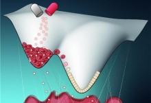 “암세포를 정상세포로 되돌린다”…분자 스위치 발굴