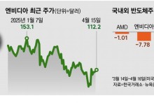 엔비디아 中수출 제동 … 고사양 AI칩에 주가회복 달려