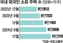 '외국인 부동산 쇼핑'에 칼뺐다…서울 전역·경기인천 주요지역 '외국인 토허구역' 지정