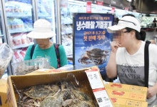 “이런 불황엔 10년 전 보다 싸야 팔린다”…반값 해산물 축제 열린다는데