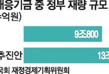 미래대응기금 30% 한도 논란, 국회 사전통제 약화 우려