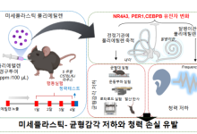 “미세플라스틱, 귀 건강 위협한다”