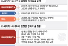 전기차 화재 방지 힘쓰는 K배터리…열 폭주 막고 전고체배터리 담금질 [biz-플러스]