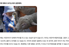 'GPT-4V 맞먹는다'…네이버, 이미지 이해 AI '하이퍼클로바X 비전' 공개