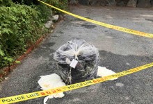 北 닷새 연속 '쓰레기 풍선'…올해 재산 피해 1억 넘었다