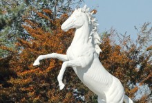 ‘자전거에 진심’ 유인촌, 6·25 전적지 네 번째 순례…지방관광 활성화 모색