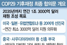 COP29 '밤샘 토론' 끝 기후재정기금 합의…이행은 '먹구름'