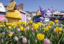 "올해는 우사하나도 온다"… 에버랜드, 산리오 협업 확대