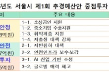 서울시, 1462억 추가 투입해 '싱크홀' 막는다