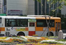 울산 시내버스, 교섭기한 6월 5일로 연장…버스 정상 운행