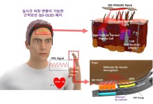 탈모 치료하는 QD-OLED 패치를 만들었다