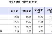 작년 말 국내은행 BIS비율 하락..환율상승에 위험가중자산 증가 탓