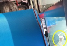 제주 버스서 담배 피운 中관광객… 서경덕 "글로벌 시민 의식 부족, 처벌 필요"