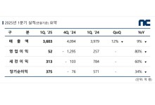 엔씨, 1Q 영업이익 52억 원...전년 比 80% ↓