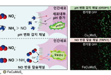 KAIST, 몸속 세포 신호 쉽게 켜고 끈다...전자약 개발 기대