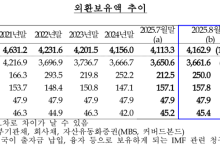 弱달러에 韓외환보유액 한 달 새 50억달러 ‘쑥’...“석 달 연속 4100억달러 상회”