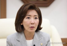 캄보디아 한인 납치 신고 올해만 330건…나경원 "민주당 정권 통치 실패"