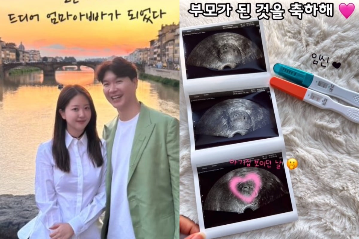 <b>박수홍</b><b>김다예</b>, <b>시험관</b> 1차만에 성공…임신 3개월차
