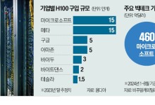 '점입가경' GPU 확보전쟁…韓은 AI칩 기근