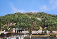 '2026년 동아시아 문화도시'에 경북 안동시 선정