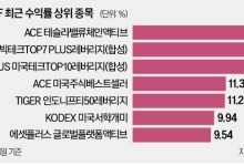 국내 ETF 수익률 톱10…美 빅테크가 점령