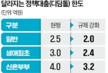 '디딤돌·버팀목' 대출 한도 최대 1억 낮춰